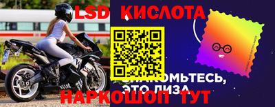 apvp Славгород