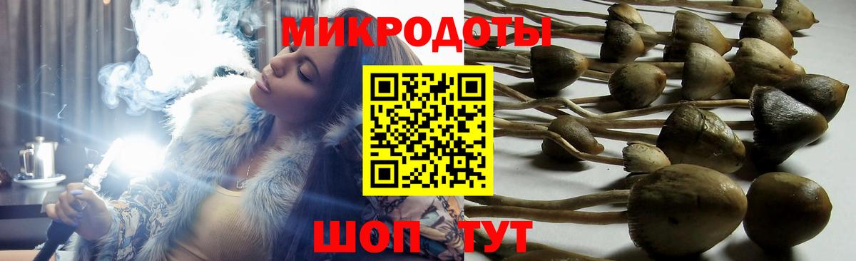 Нижневартовск  Галлюциногенные грибы прущие грибы  Вход с VPN 
